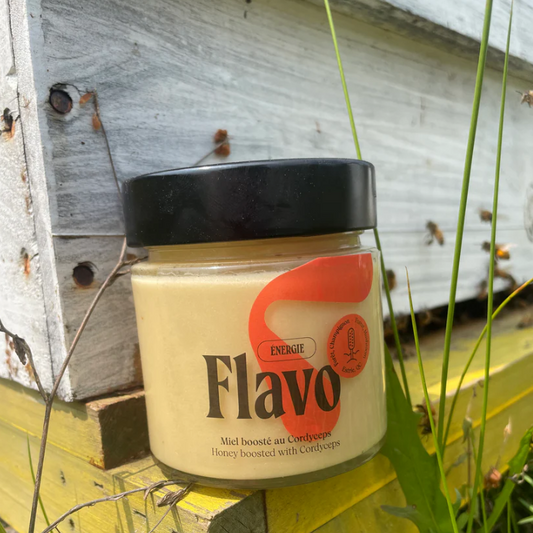 Pot de miel cru crémeux boosté au Cordyceps - Forêt