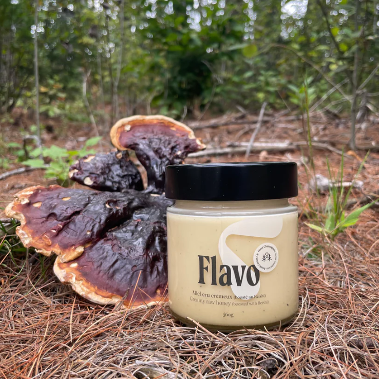 Pot de miel cru crémeux boosté au Reishi - Forêt