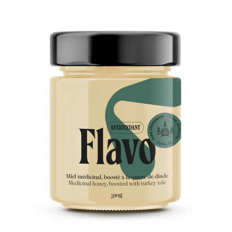 Pot de miel cru crémeux boosté au Turkey Tail - Forêt