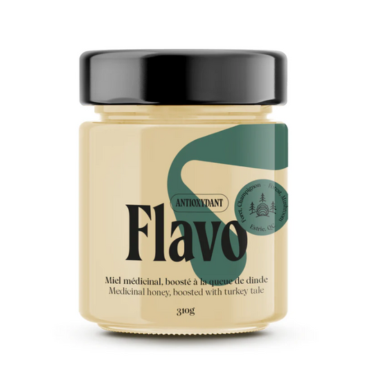 Pot de miel cru crémeux boosté au Turkey Tail - Forêt