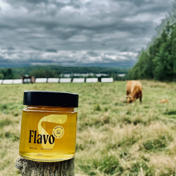 Pot de miel cru liquide - Estrie - Ferme