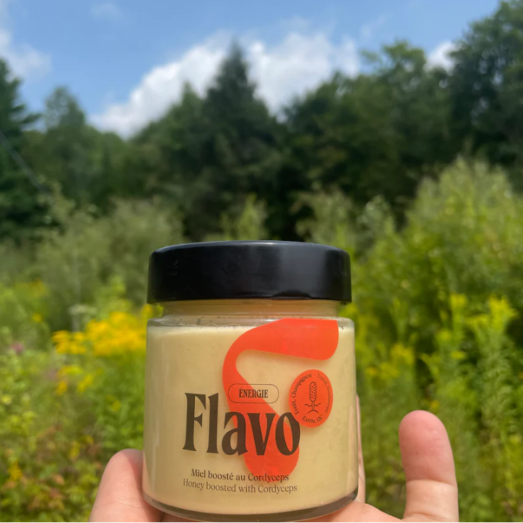 Pot de miel cru crémeux boosté au Cordyceps - Forêt